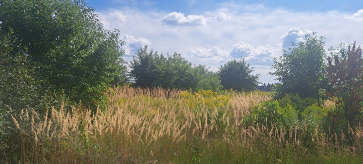 Działka Sprzedaż Suszno 3