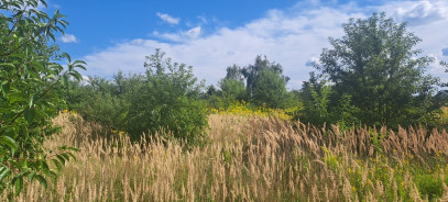 Działka Sprzedaż Suszno