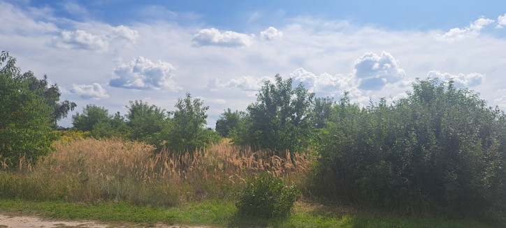 Działka Sprzedaż Suszno 3