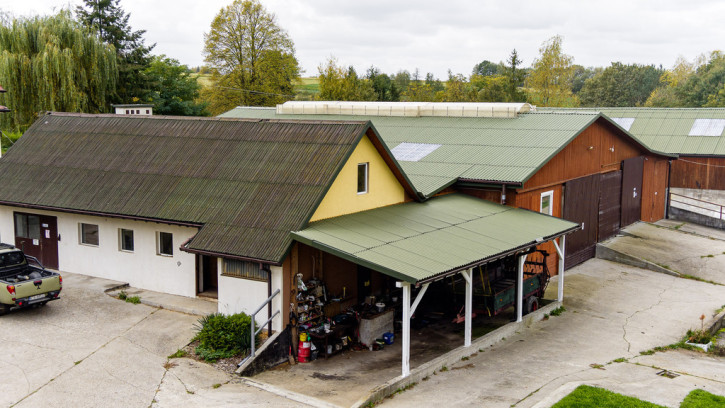 Dom Sprzedaż Burzyn 49