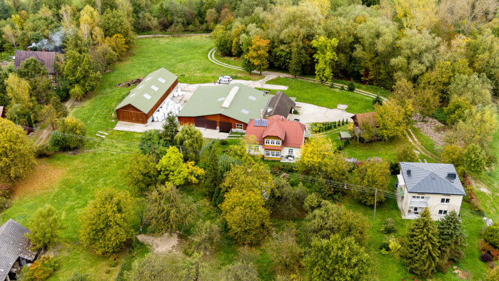 Dom Sprzedaż Burzyn 55