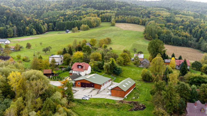 Dom Sprzedaż Burzyn 4