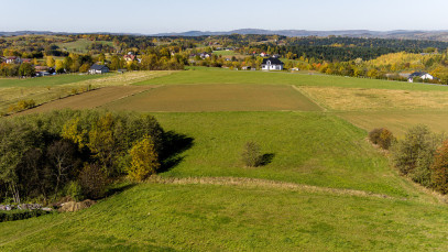 Działka Sprzedaż Turza
