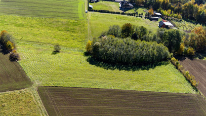 Działka Sprzedaż Turza