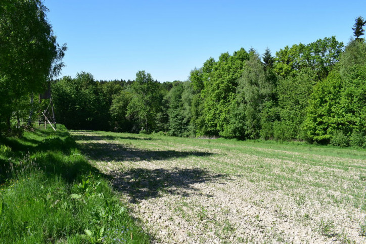 Działka Sprzedaż Brzeziny 13