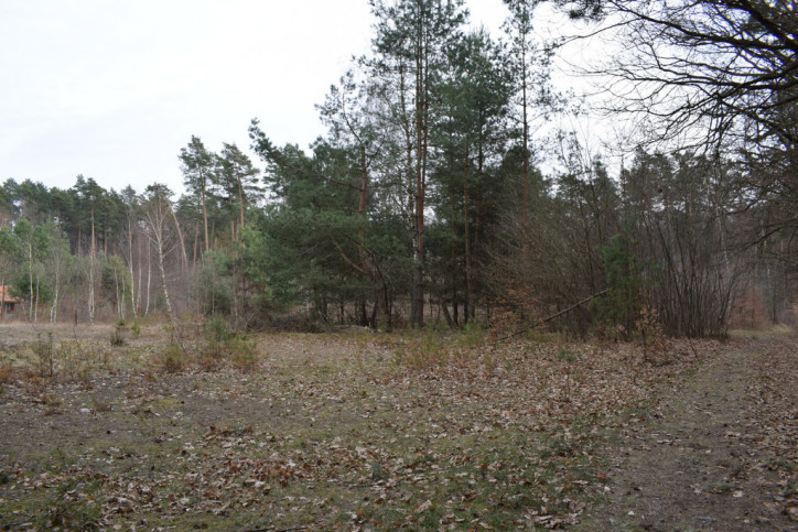 Działka Sprzedaż Wysoka Głogowska 8