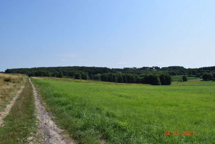 Działka Sprzedaż Racławówka 8