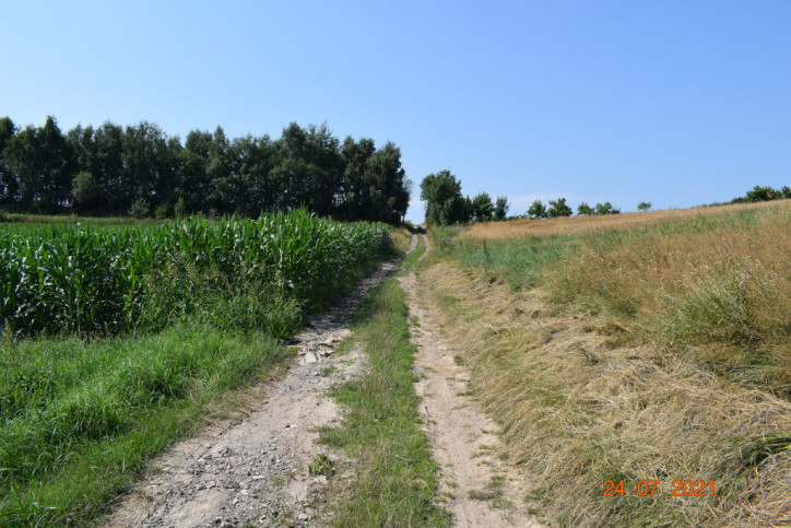 Działka Sprzedaż Racławówka 9