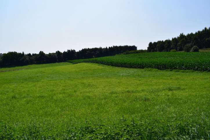 Działka Sprzedaż Racławówka 3