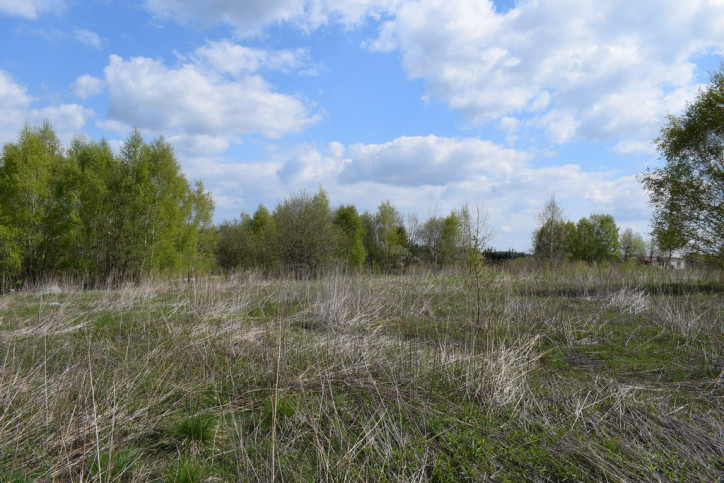 Działka Sprzedaż Chmielnik 8
