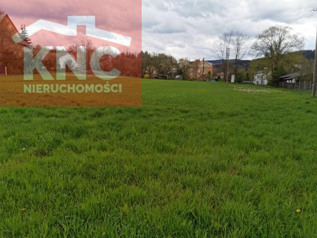 Działka Sprzedaż Iwla 1