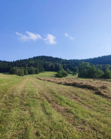 Działka Sprzedaż Bogusza