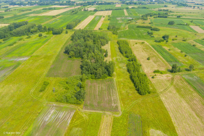 Działka Sprzedaż Zaborów