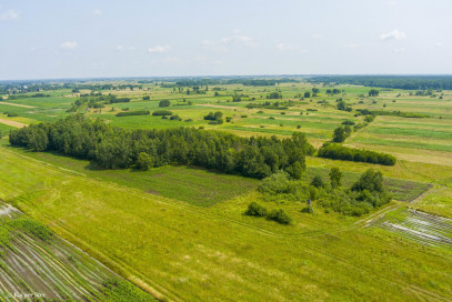 Działka Sprzedaż Zaborów