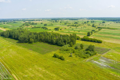 Działka Sprzedaż Zaborów