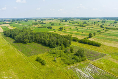 Działka Sprzedaż Zaborów