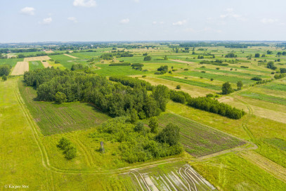 Działka Sprzedaż Zaborów