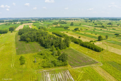 Działka Sprzedaż Zaborów