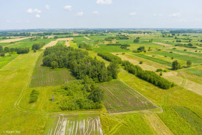 Działka Sprzedaż Zaborów