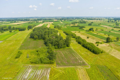 Działka Sprzedaż Zaborów