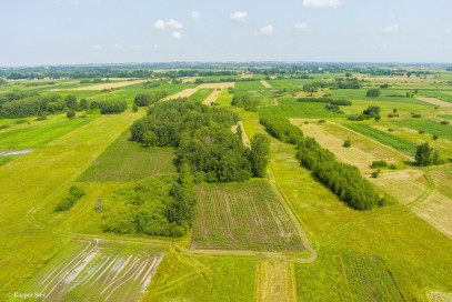 Działka Sprzedaż Zaborów