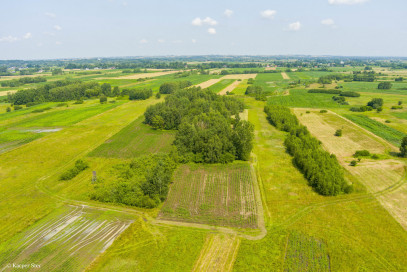 Działka Sprzedaż Zaborów