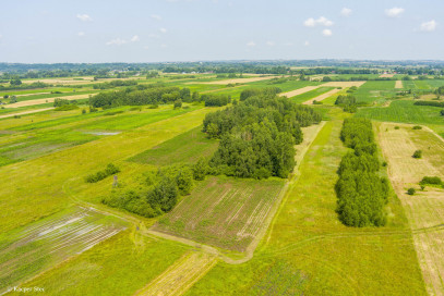 Działka Sprzedaż Zaborów