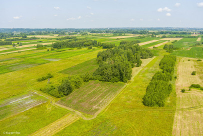 Działka Sprzedaż Zaborów