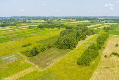 Działka Sprzedaż Zaborów