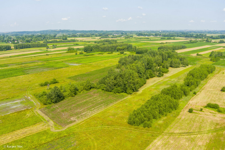 Działka Sprzedaż Zaborów 6