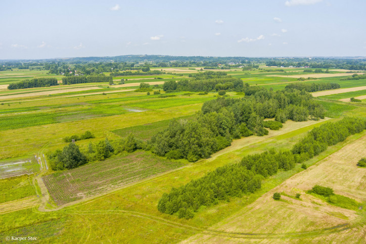 Działka Sprzedaż Zaborów 7
