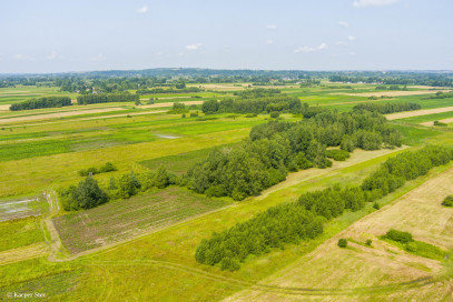 Działka Sprzedaż Zaborów