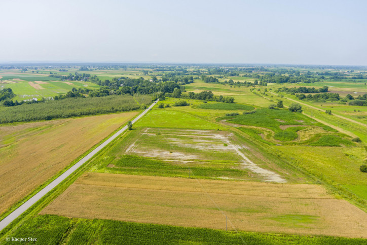 Działka Sprzedaż Kwików 6