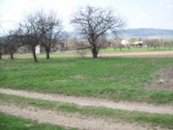 Działka Sprzedaż Fredropol 1
