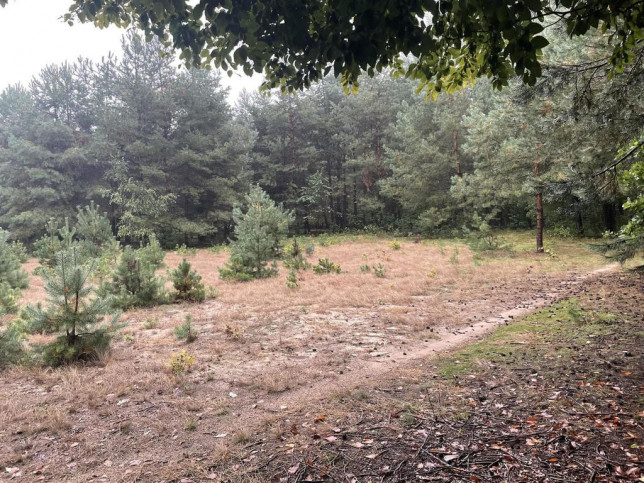 Działka Sprzedaż Zapałów 1