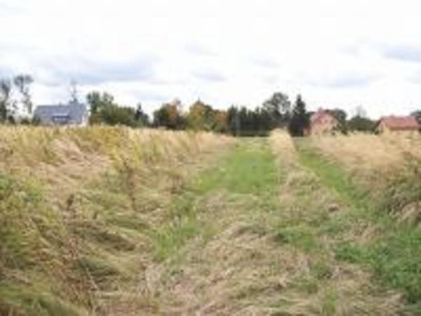 Działka Sprzedaż Orły 1