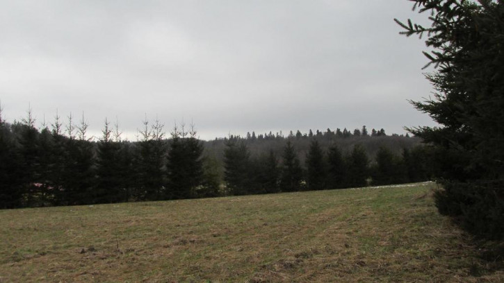 Działka Sprzedaż Krasiczyn 8