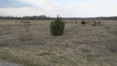 Działka Sprzedaż Wiązownica