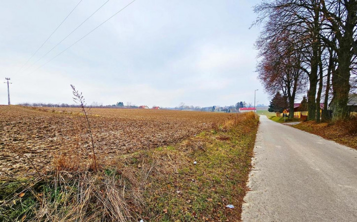 Działka Sprzedaż Tomaszowice 3