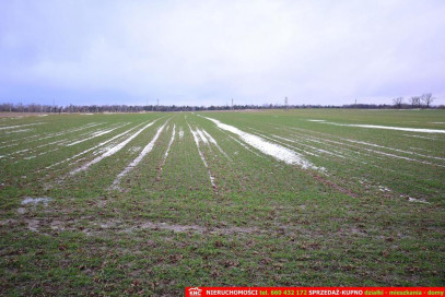 Działka Sprzedaż Wierciszów