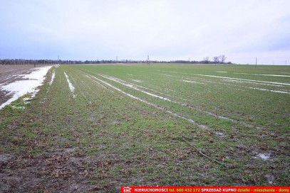 Działka Sprzedaż Wierciszów