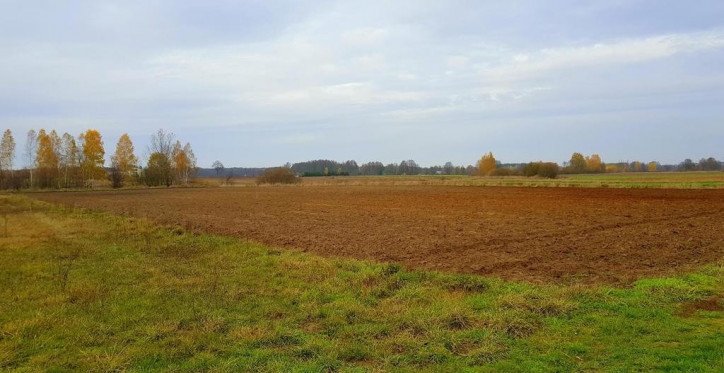 Działka Sprzedaż Samoklęski 4