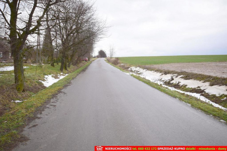 Działka Sprzedaż Wierciszów 5
