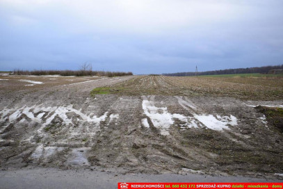 Działka Sprzedaż Wierciszów