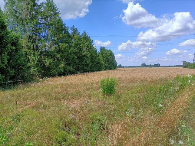 Działka Sprzedaż Zwoleń 6