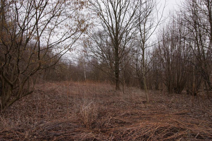 Działka Sprzedaż Kazimierz Dolny 3