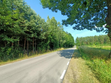 Działka Sprzedaż Szlachecki Las