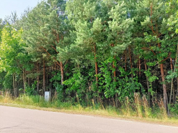 Działka Sprzedaż Szlachecki Las