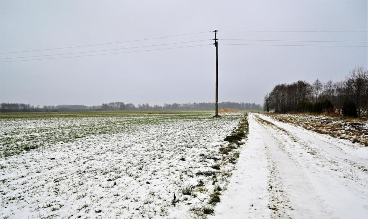 Działka Sprzedaż Ludwin 3