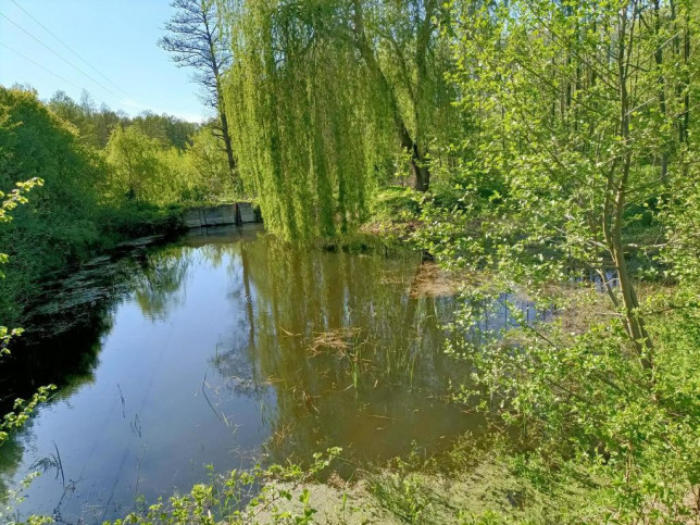 Dom Sprzedaż Gródek 6